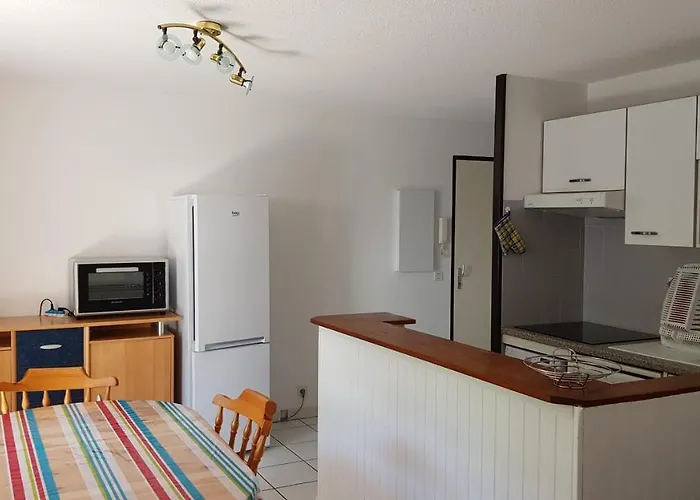 Luz 公寓 吕兹-圣索沃尔